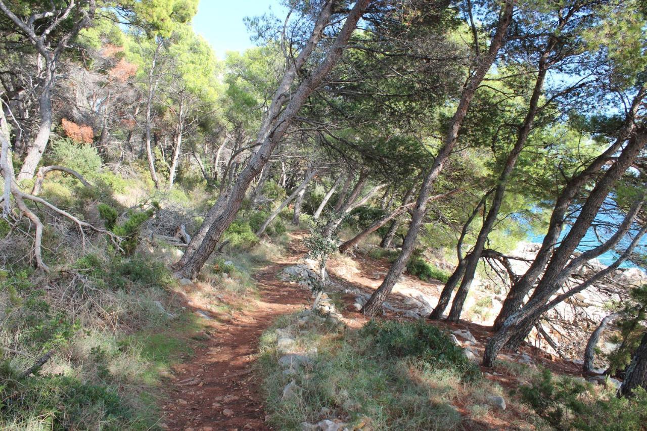 Bayview Apartment Trogir Luaran gambar